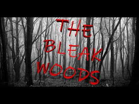 THE BLEAK WOODS poster