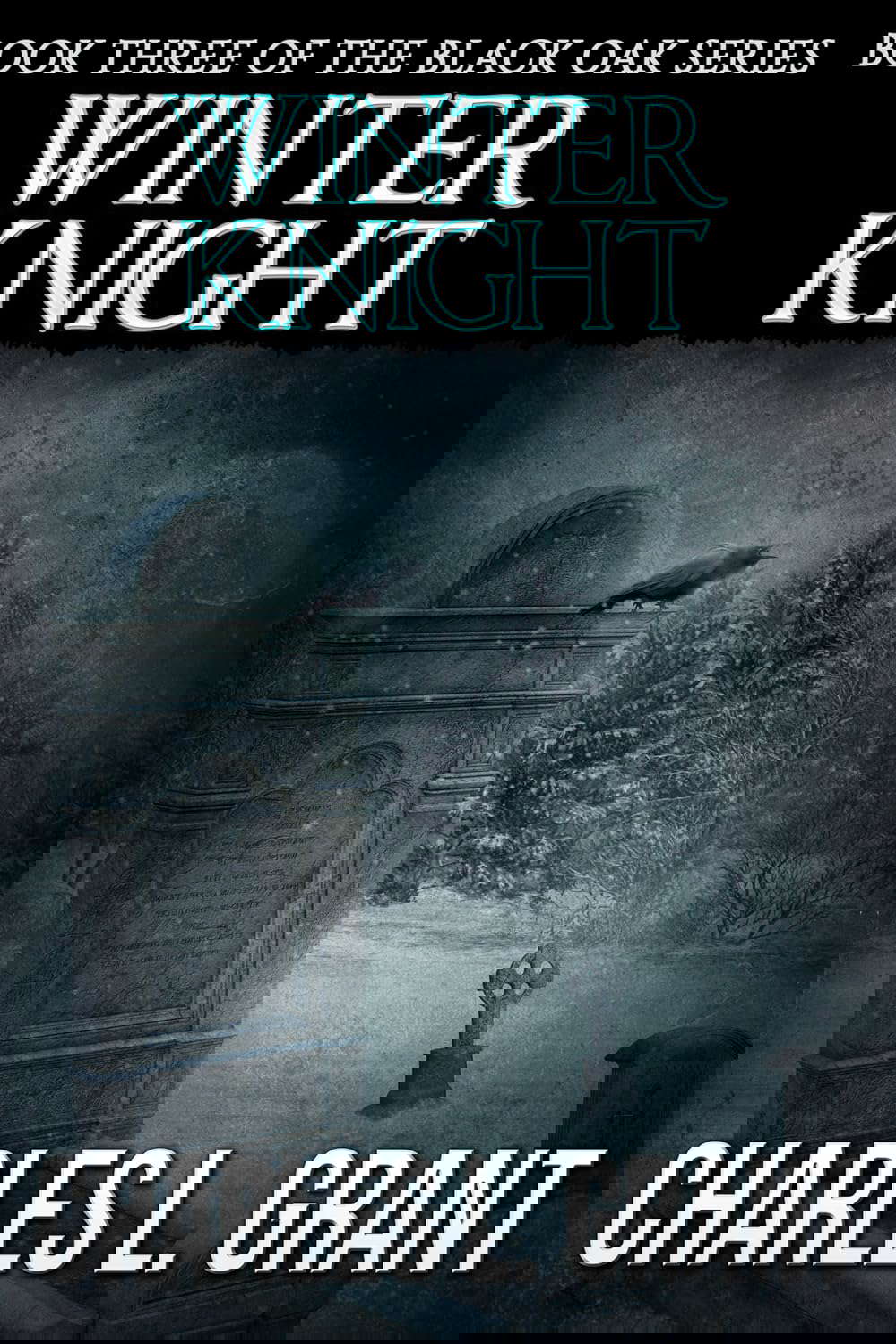 Black Oak 3: Winter Knight poster