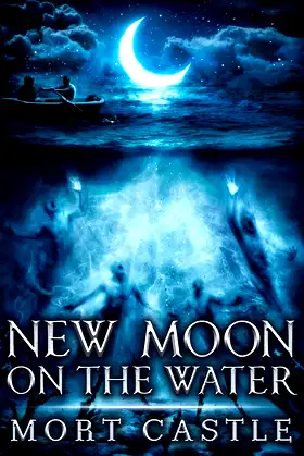 New Moon on the Water poster
