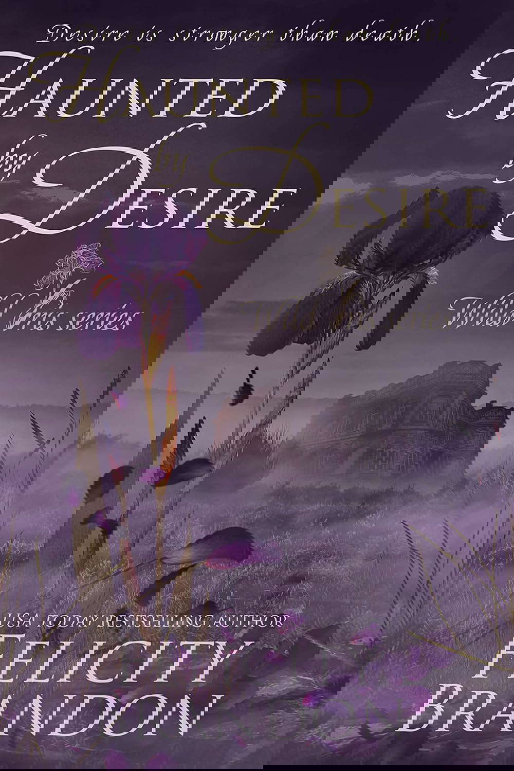 Haunted By Desire: A Gothic Dark Romance (Wild Iris Book 1) poster