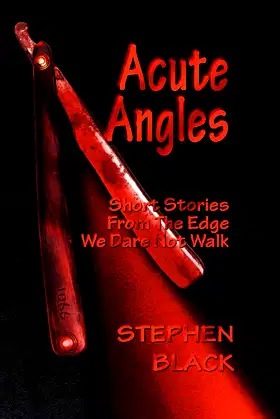 Acute Angles: Short Stories from the Edge We Dare Not Walk poster
