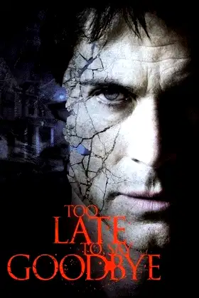 Too Late to Say Goodbye poster