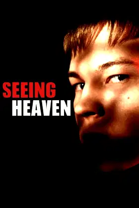 Seeing Heaven poster