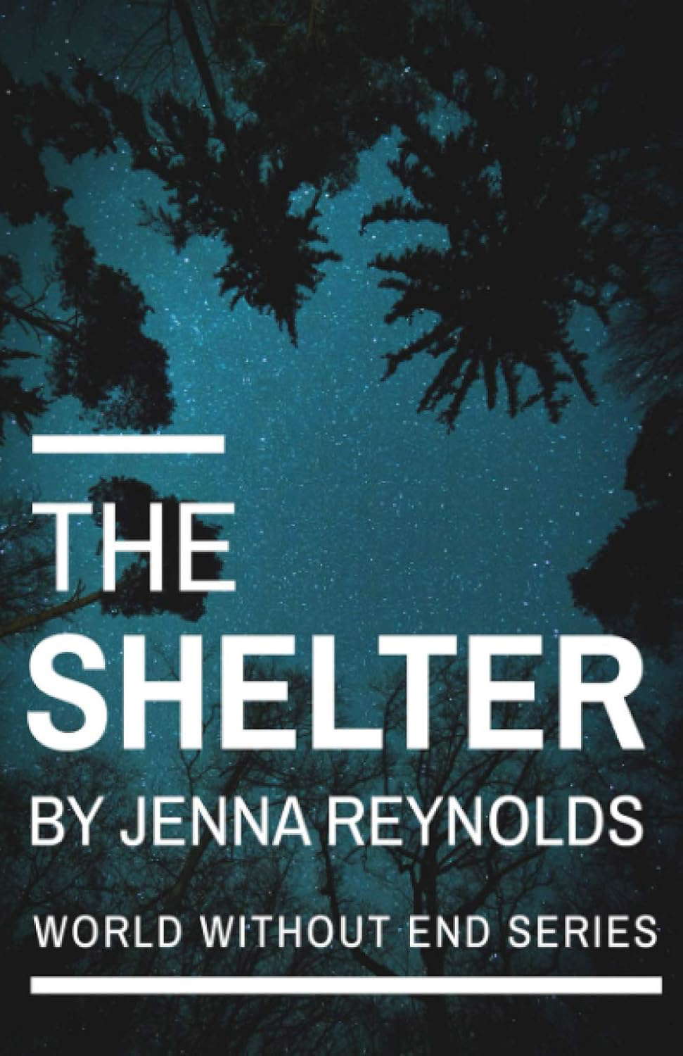 The Shelter (World Without End) poster