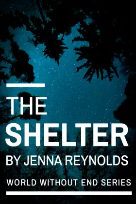 The Shelter (World Without End) poster