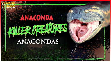 Killer Creatures: Anaconda poster