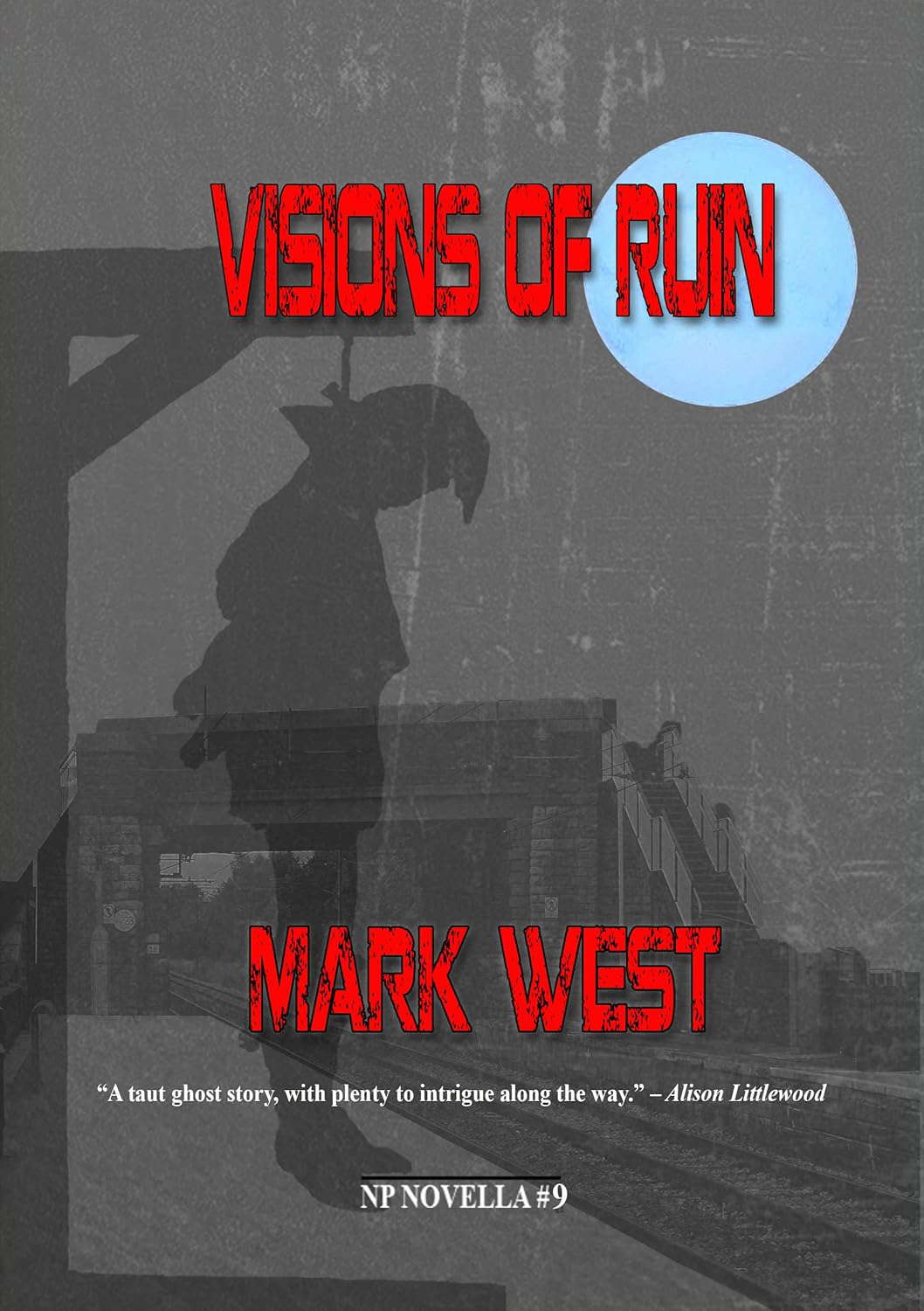 Visions of Ruin (NP Novella) poster