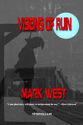 Visions of Ruin (NP Novella) poster