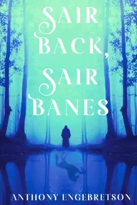 Sair Back, Sair Banes poster