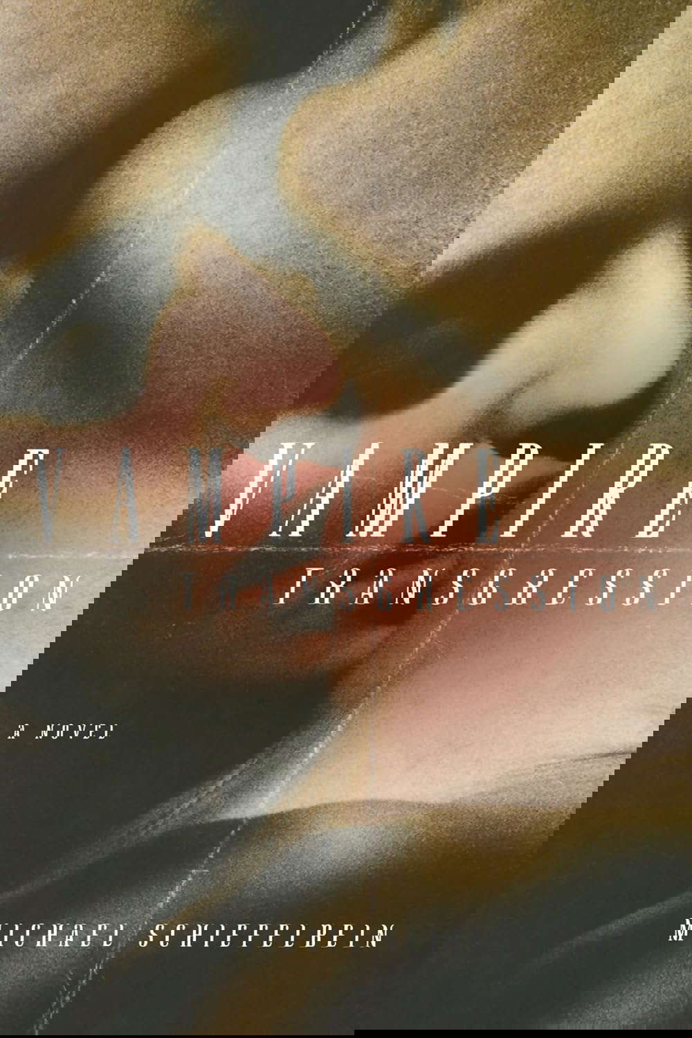 Vampire Transgression poster