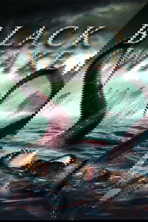 Black Wake poster