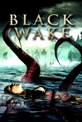 Black Wake poster