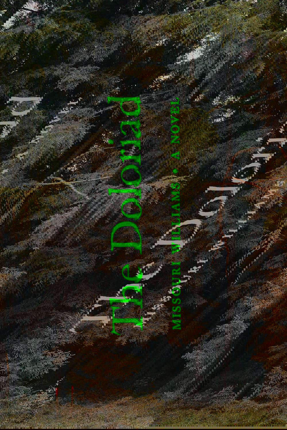 The Doloriad: A Novel poster