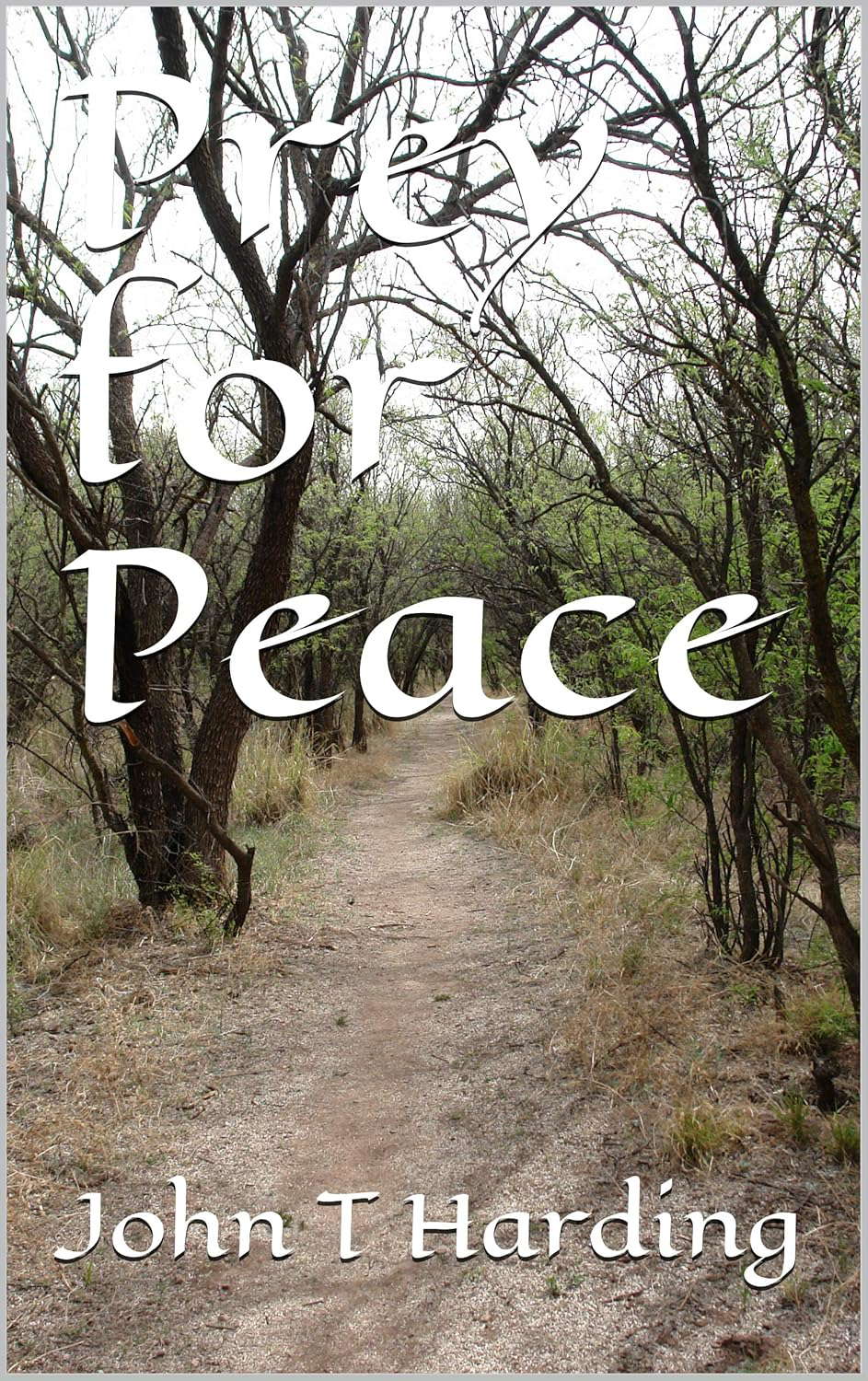 Prey for Peace poster