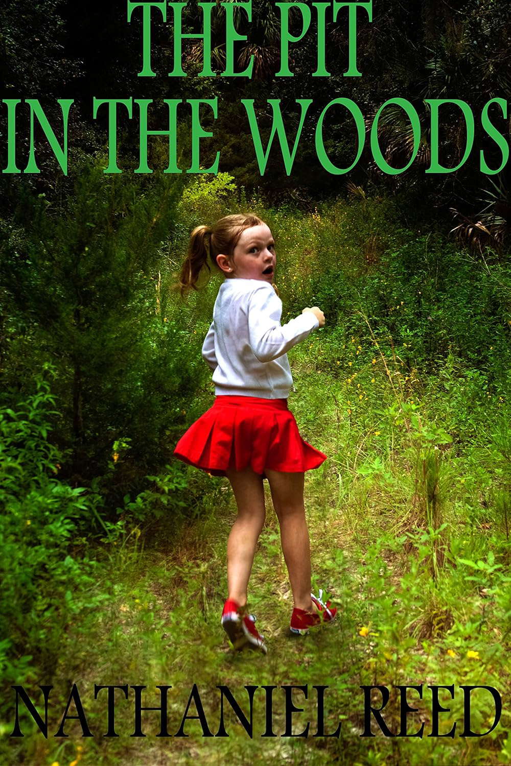 The Pit in the Woods: A Mercy Falls Mythos poster
