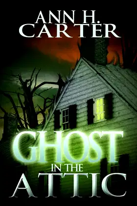 Ghost in the Attic poster