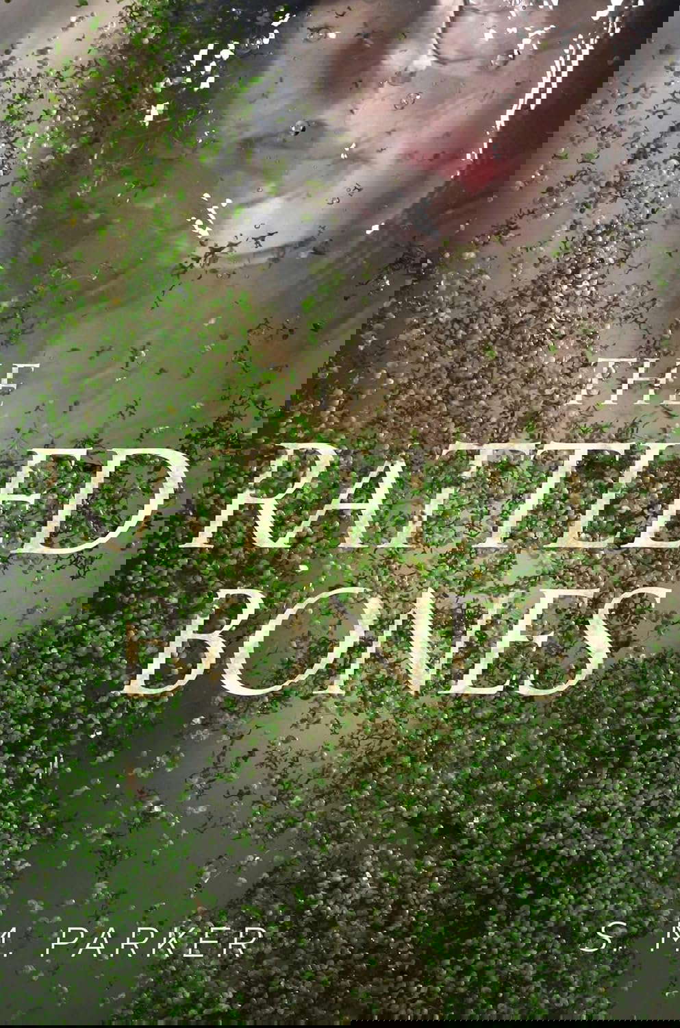 The Rattled Bones poster