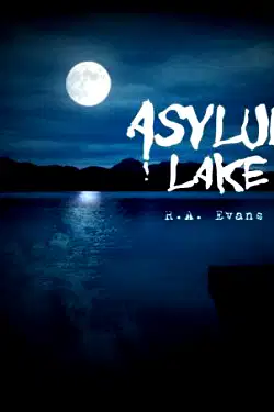 Asylum Lake poster