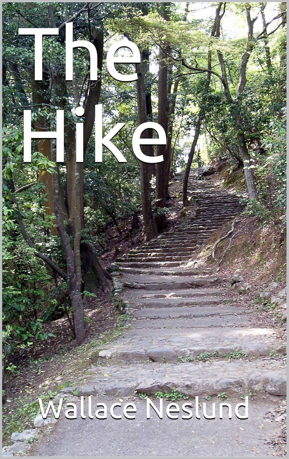 The Hike poster