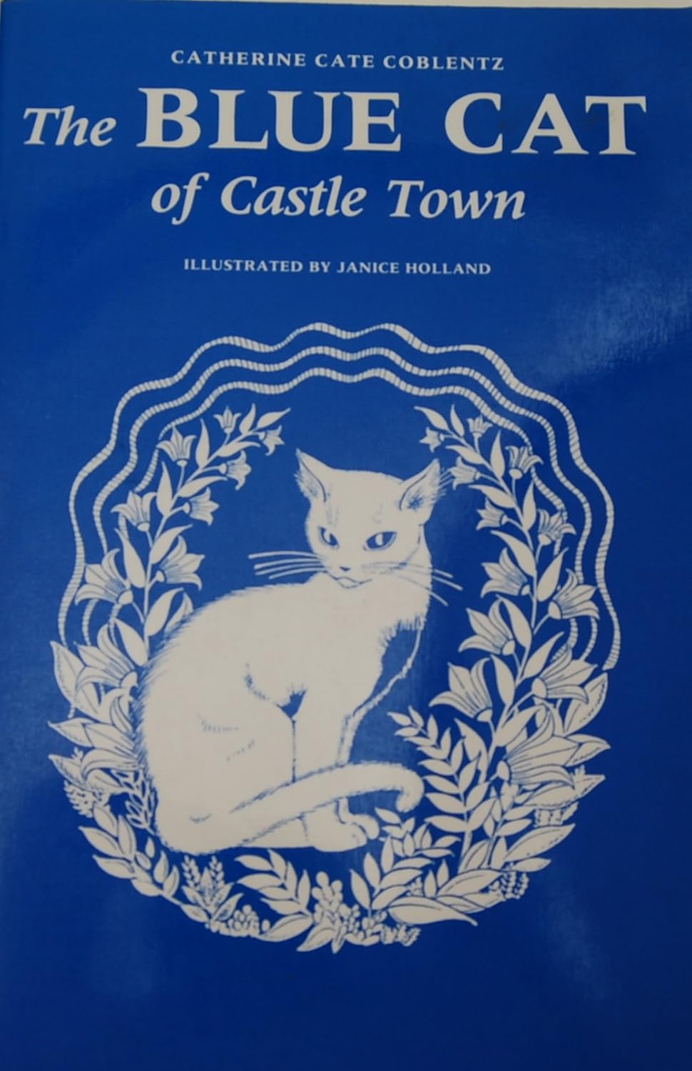 The Blue Cat of Castle Town poster