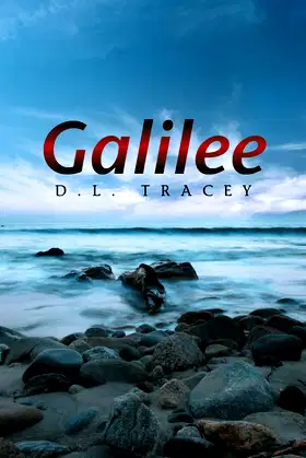 Galilee poster