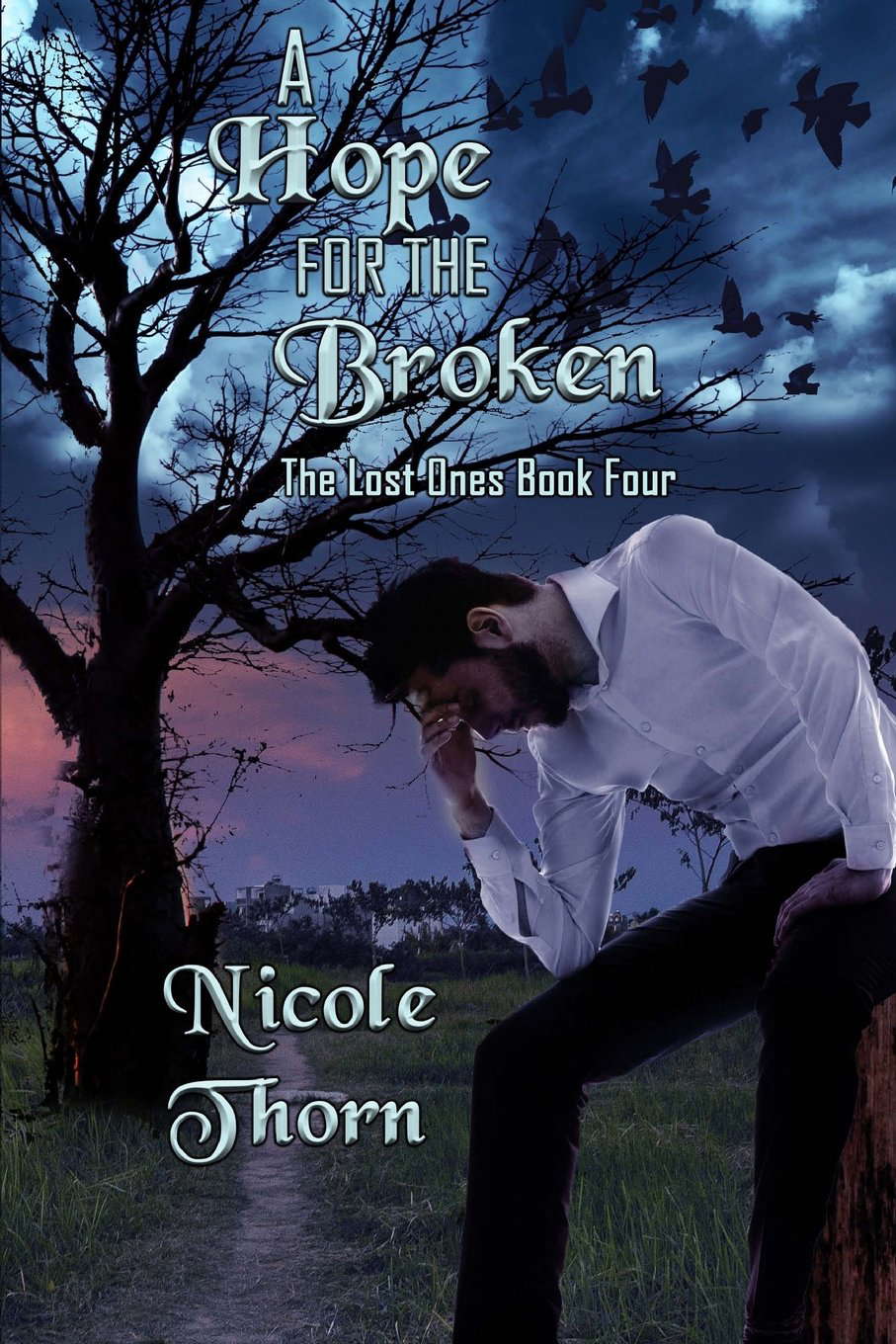 A Hope for the Broken (The Lost Ones Series) (Volume 4) poster