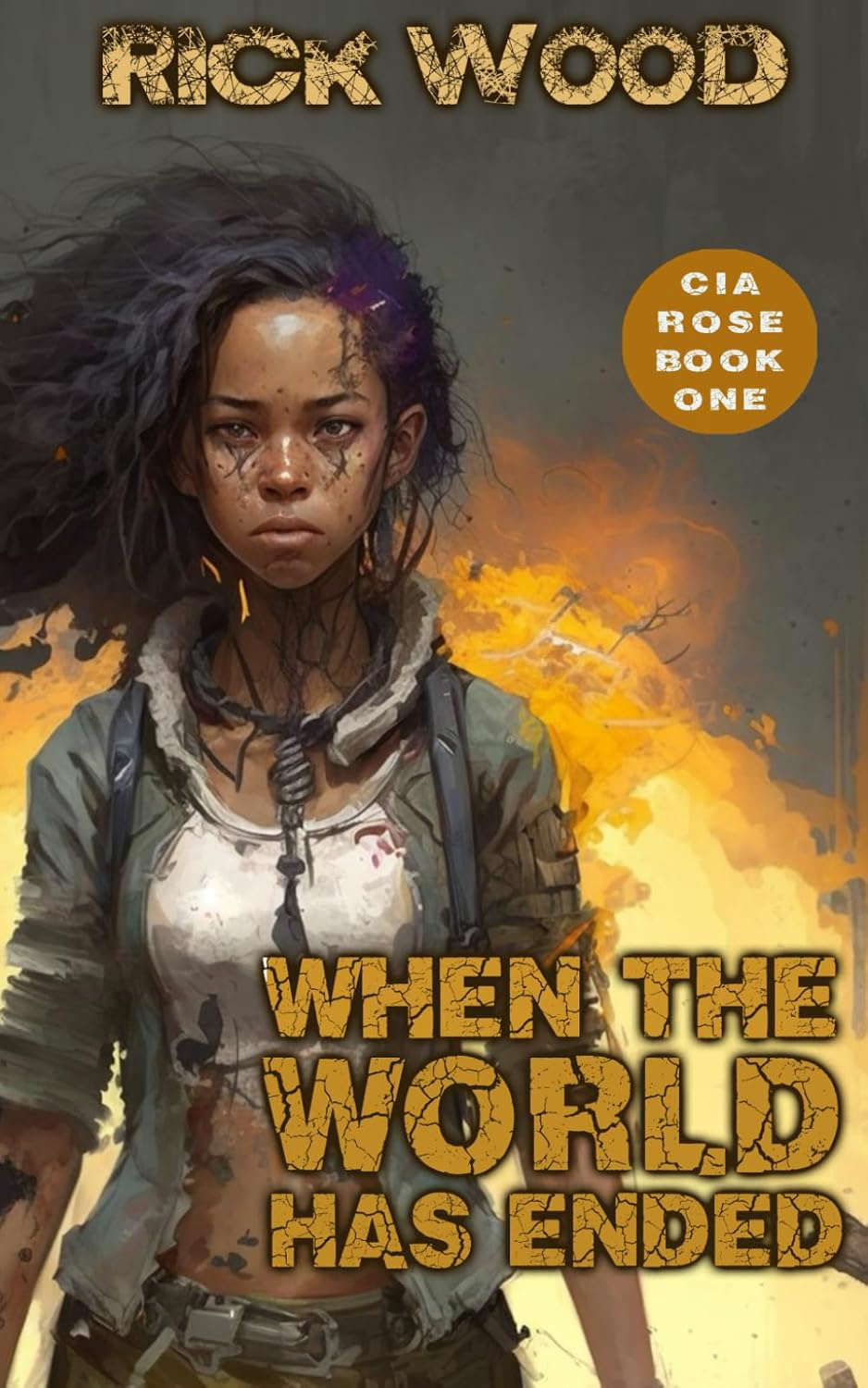 When the World Has Ended: A Post Apocalyptic Thriller (Cia Rose) poster