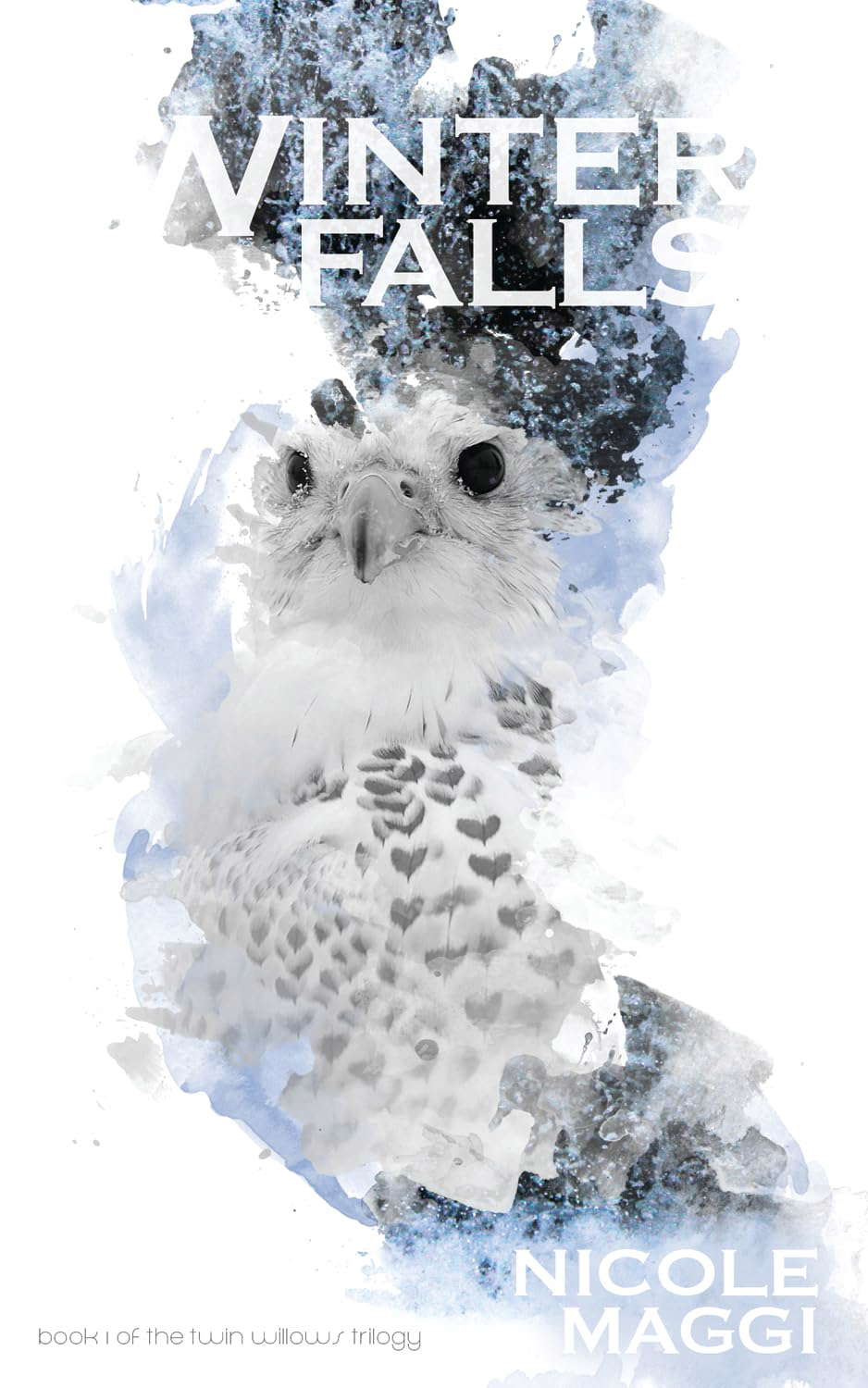 Winter Falls (Twin Willows Trilogy) poster
