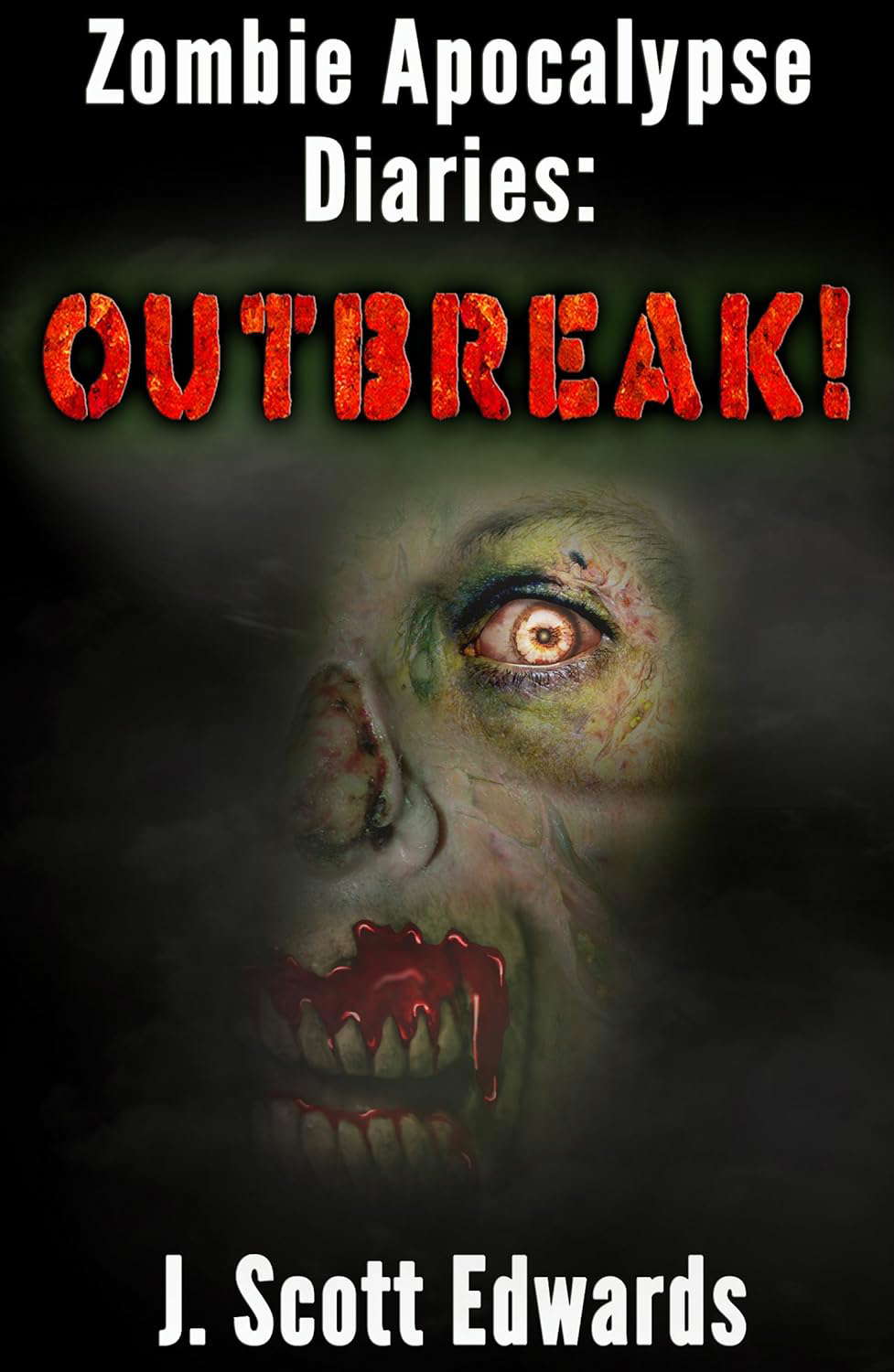 Zombie Apocalypse Diaries: Outbreak poster