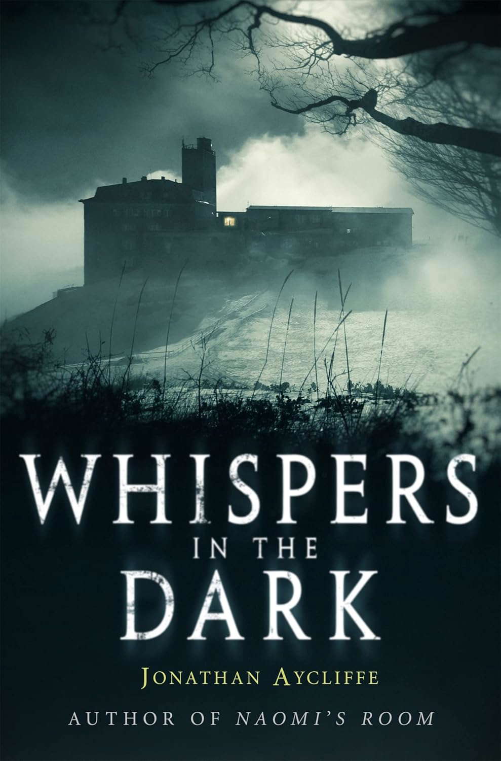 Whispers In The Dark poster