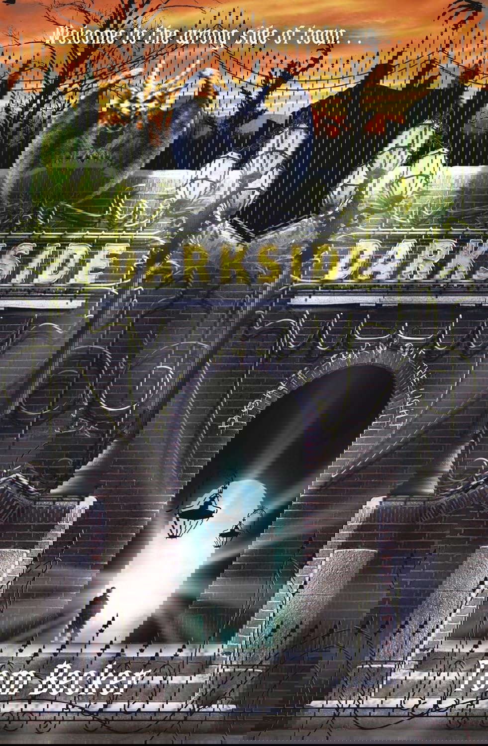Darkside NE poster