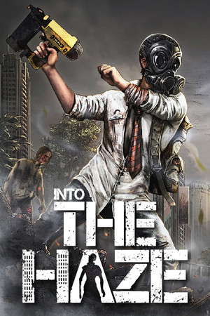 Into The Haze poster