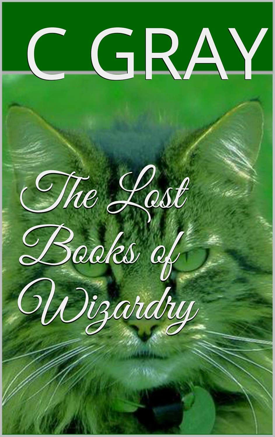 The Lost Books of Wizardry poster