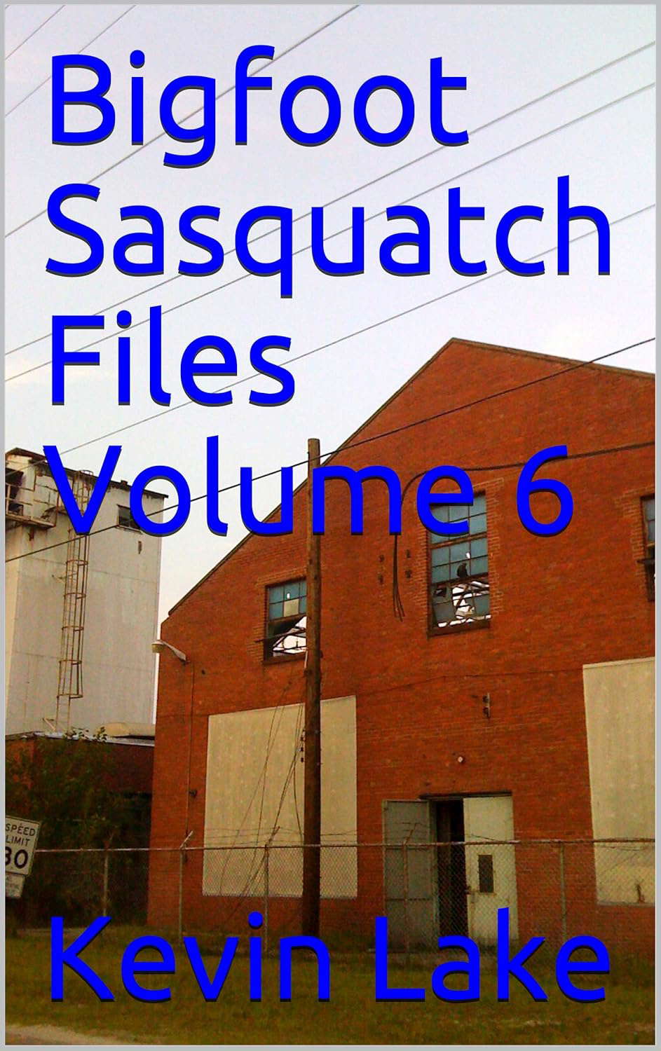 Bigfoot Sasquatch Files Volume 6 poster