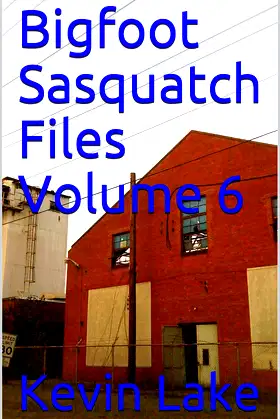 Bigfoot Sasquatch Files Volume 6 poster
