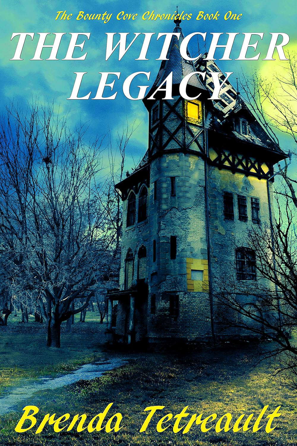 The Witcher Legacy: The Bounty Cove Chronicles: Book One poster