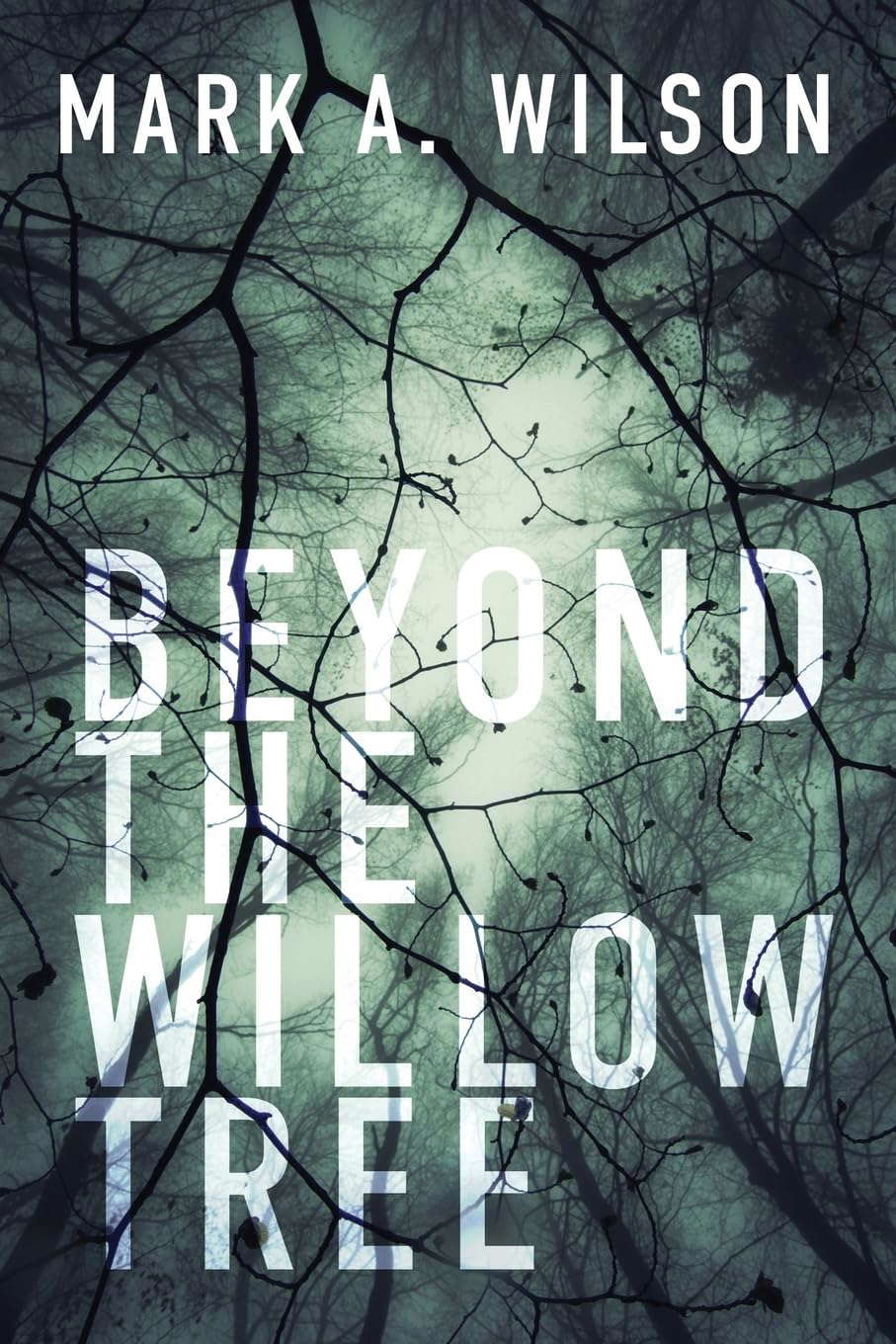 Beyond the Willow Tree: Book One poster
