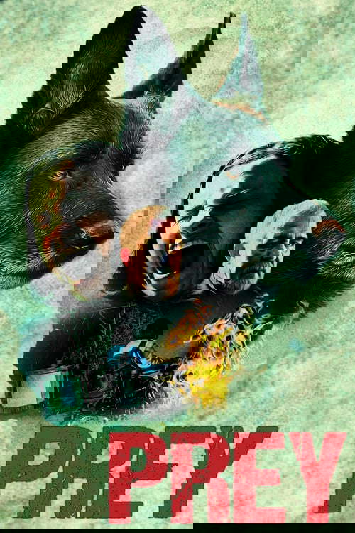 Prey poster
