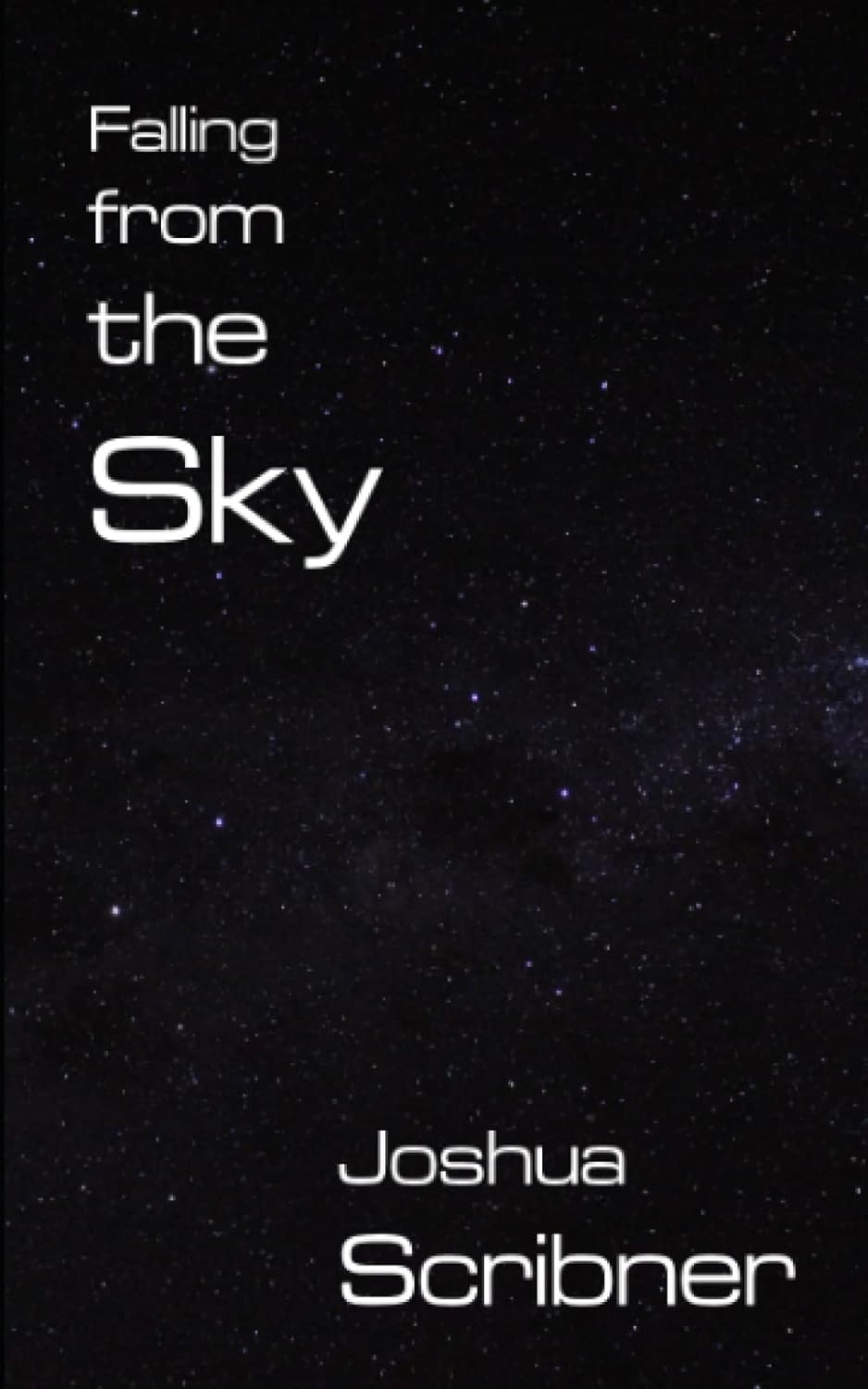 Falling from the Sky poster