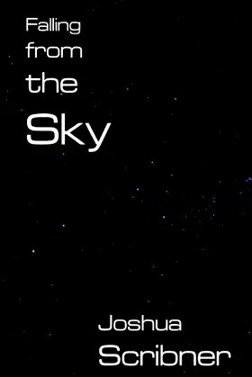 Falling from the Sky poster