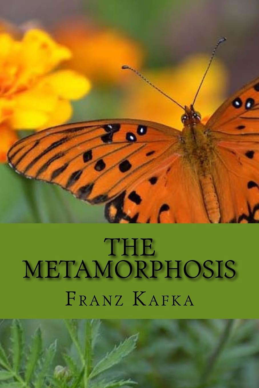The Metamorphosis poster