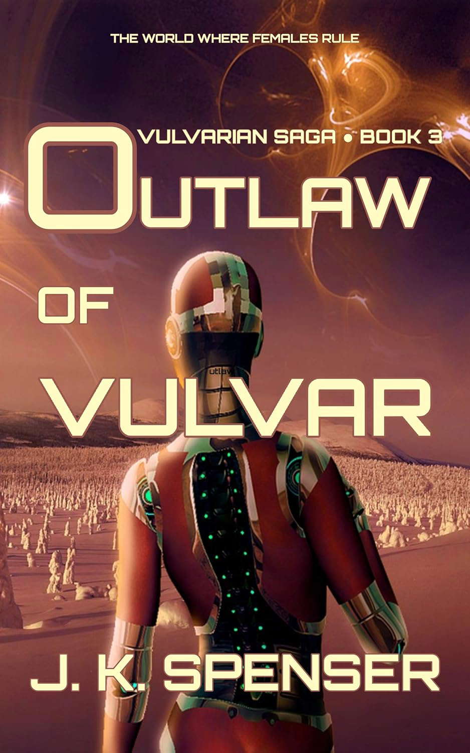 Outlaw of Vulvar (Vulvarian Saga Book 3) poster