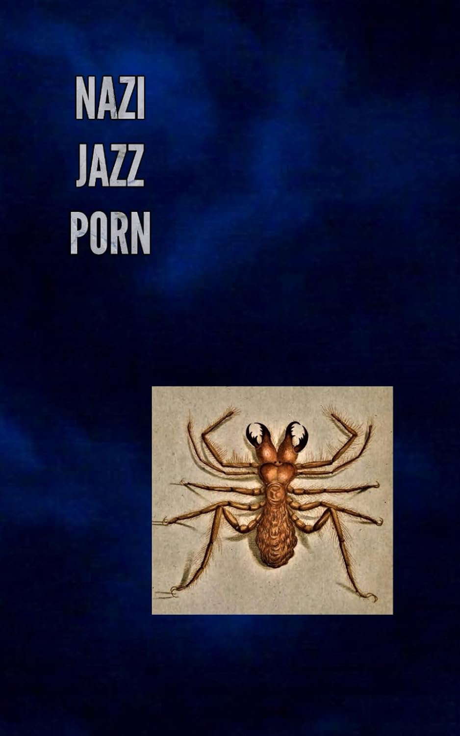 Nazi Jazz Porn poster