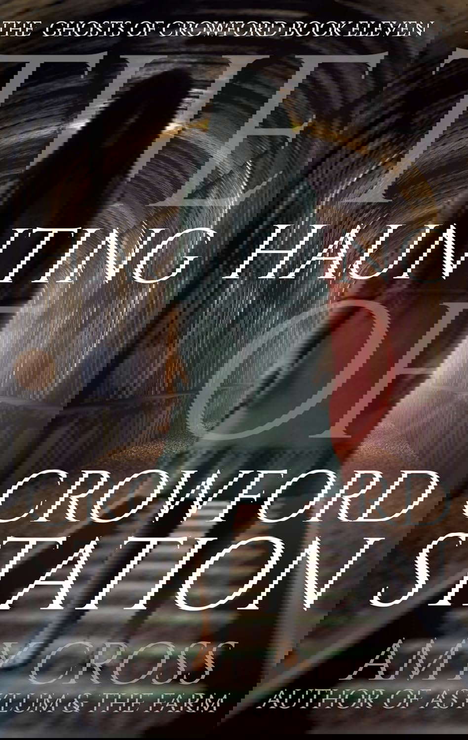 The Haunting of Crowford Station (The Ghosts of Crowford Book 11) poster