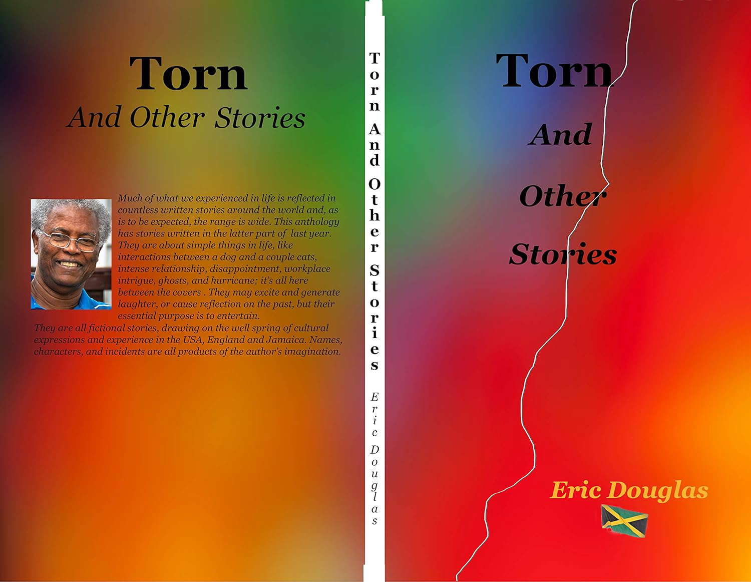 Torn And Other Stories poster