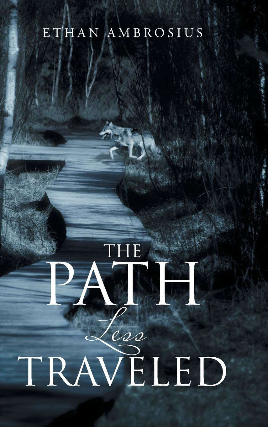 The Path Less Traveled poster