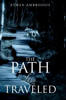 The Path Less Traveled poster