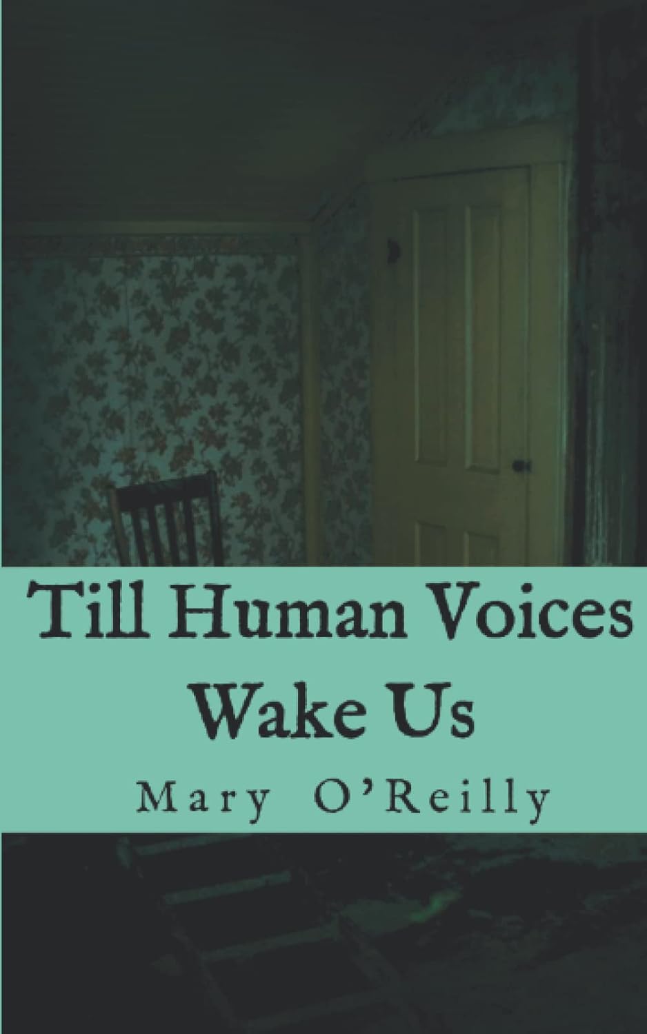 Till Human Voices Wake Us poster
