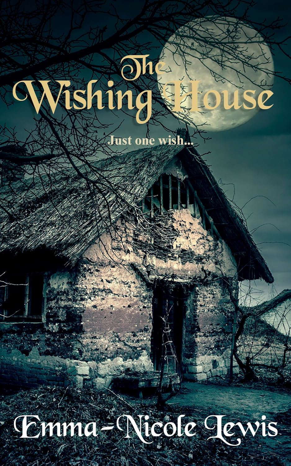 The Wishing House poster