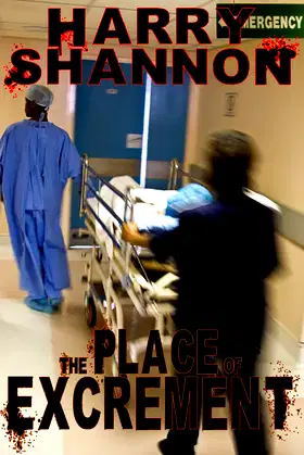 The Place of Excrement poster